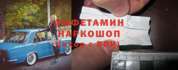 индика Каменск-Шахтинский