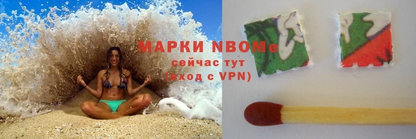 индика Каменск-Шахтинский