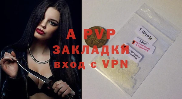 индика Каменск-Шахтинский