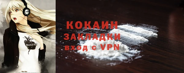 индика Каменск-Шахтинский