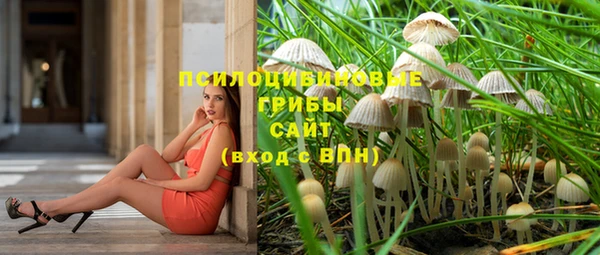 скорость mdpv Каменка