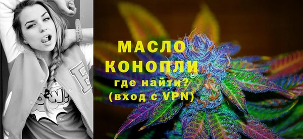 индика Каменск-Шахтинский