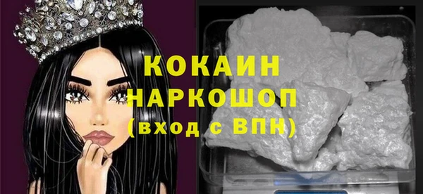 индика Каменск-Шахтинский