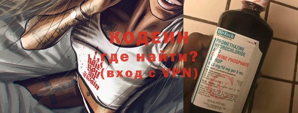 индика Каменск-Шахтинский