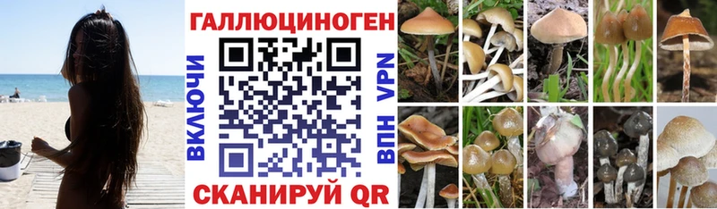 купить  сайты  Новосибирск  Галлюциногенные грибы MAGIC MUSHROOMS 