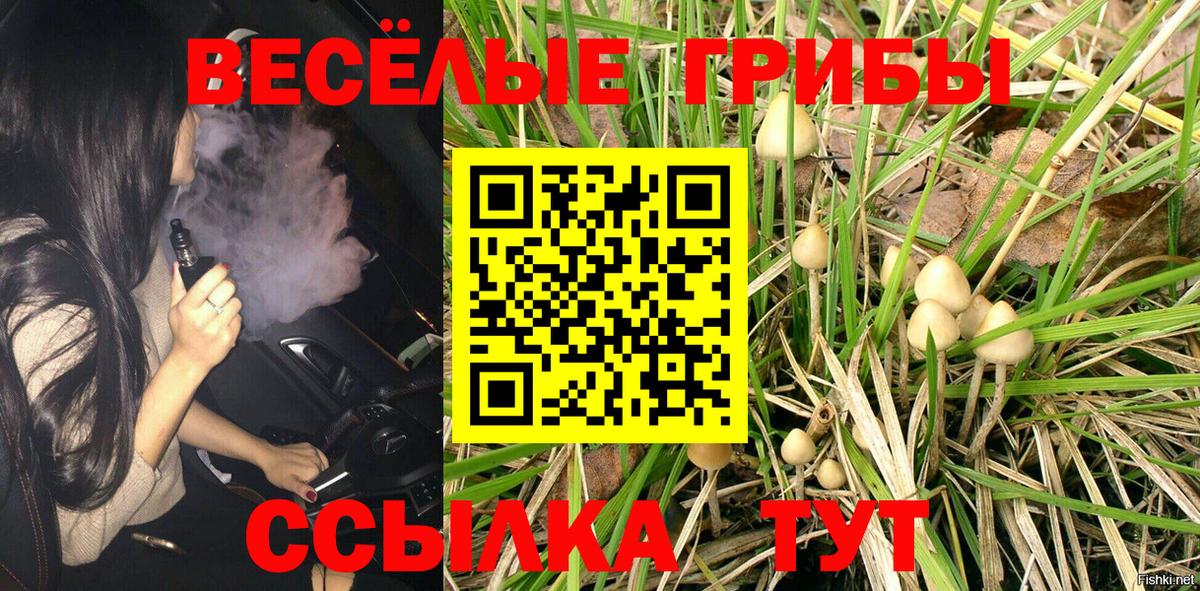 Галлюциногенные грибы Psilocybe  Вход с VPN  Галлюциногенные грибы Psilocybe  Россия 