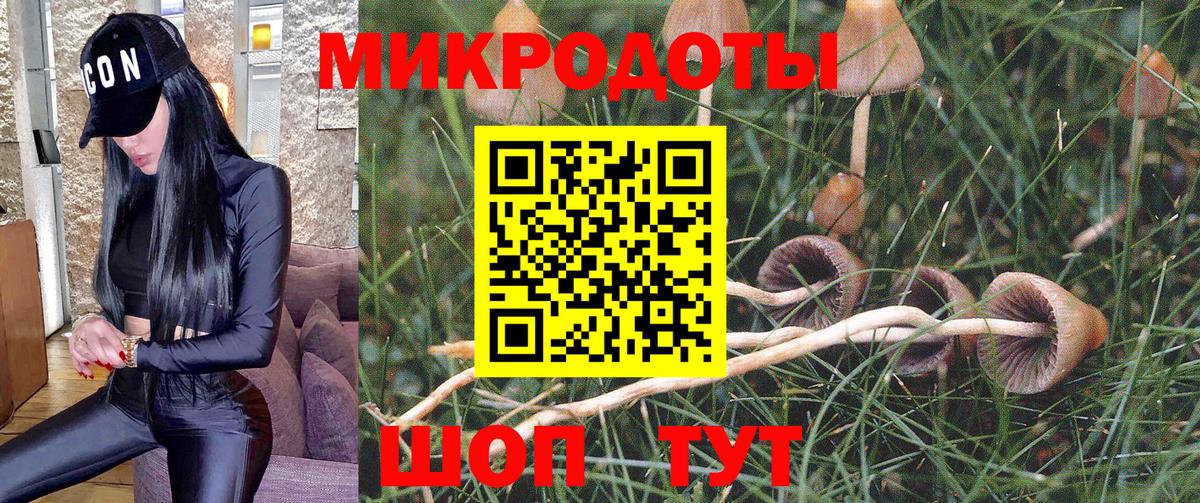Галлюциногенные грибы Psilocybine cubensis  Вход с VPN  Россия 