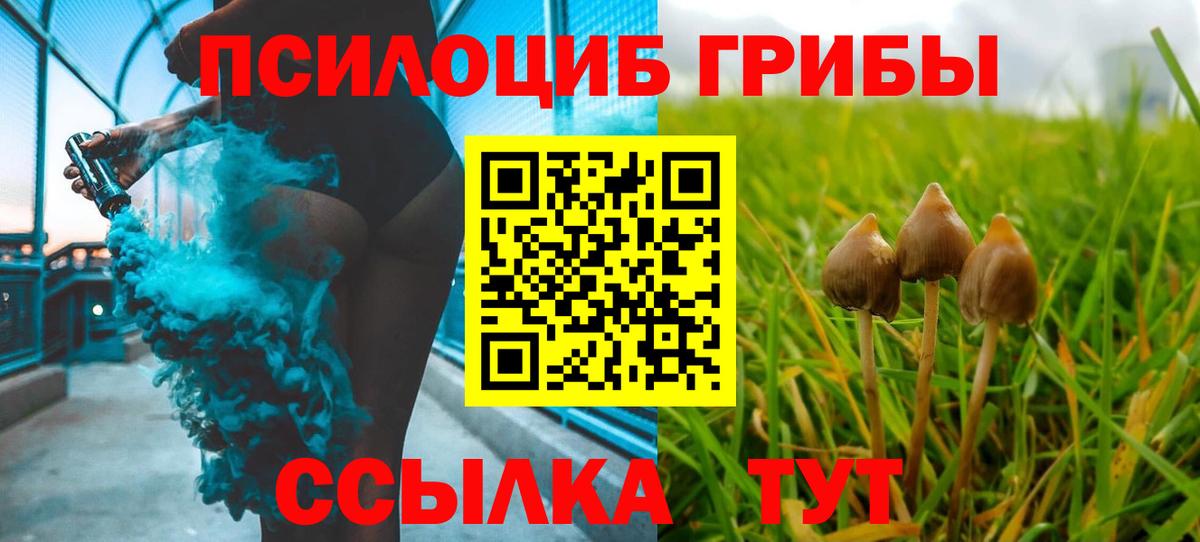 Псилоцибиновые грибы ЛСД Россия