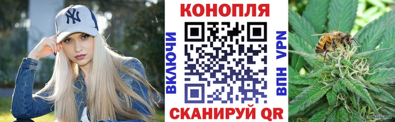 Конопля White Widow  купить наркотик  Новосибирск 