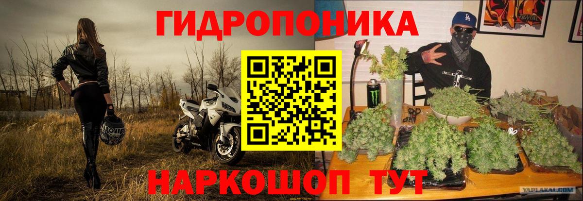 Шишки марихуана индика  Канабис THC 21%  Россия  МАРИХУАНА AK-47  Вход с VPN 